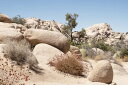 岩 草 自然の壁紙 輸入 カスタム壁紙 輸入壁紙 カスタム壁紙 PHOTOWALL / Boulders Rock (e334109) 貼ってはがせるフリース壁紙(不織布) 【海外取寄せ商品】 【代引き・後払い不可】