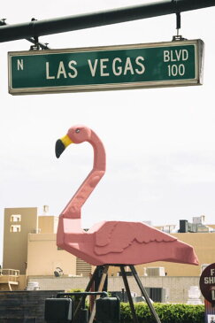 フラミンゴ オブジェ 看板 ラスベガスの壁紙 輸入 カスタム壁紙 PHOTOWALL / Las Vegas Boulevard (e334232) 貼ってはがせるフリース壁紙(不織布) 【海外取寄せ商品】 【代引き・後払い不可】