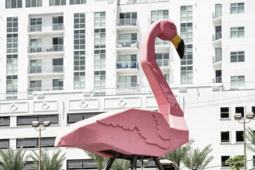 フラミンゴ オブジェ 看板 ラスベガスの壁紙 輸入 カスタム壁紙 PHOTOWALL / Pink Flamingo (e334360) 貼ってはがせるフリース壁紙(不織布) 【海外取寄せ商品】 【代引き・後払い不可】