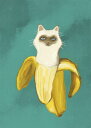 1日20名様20％OFFクーポン 猫 ネコ バナナ イラスト 緑 グリーンの壁紙 輸入 カスタム壁紙 輸入壁紙 カスタム壁紙 PHOTOWALL / Banana Kitten (e335550) 貼ってはがせるフリース壁紙(不織布) 【海外取寄せ商品】 【代引き・後払い不可】