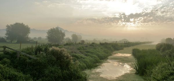 グラストンベリー・トー 自然 景色 風景 自然 山 空 写真の壁紙 輸入 カスタム壁紙 PHOTOWALL / Glastonbury Tor at Misty Morning (e332000) 貼ってはがせるフリース壁紙(不織布) 【海外取寄せ商品】 【代引き・後払い不可】