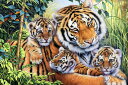 2530l20OFFN[|  g eq CXg̕ǎ A JX^ǎ Aǎ JX^ǎ PHOTOWALL / Tiger Family (e332564) \Ă͂t[Xǎ(sDz) yCO񂹏iz yE㕥sz