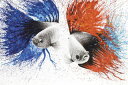 ベタ 闘魚 魚 熱帯魚 イラスト ドリッピング スプラッシュ 赤 レッド 青 ブルーの壁紙 輸入 カ ...