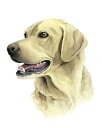 犬 顔 イラストの壁紙 輸入 カスタム壁紙 輸入壁紙 カスタム壁紙 PHOTOWALL / Sunny Boy II (e336541) 貼ってはがせるフリース壁紙(不織布) 【海外取寄せ商品】 【代引き 後払い不可】