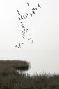    ʐ^ mg[̕ǎ A JX^ǎ Aǎ JX^ǎ PHOTOWALL / Flying Birds in the Sea Landscape (e84493) \Ă͂t[Xǎ(sDz) yCO񂹏iz yE㕥sz