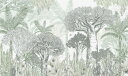 1日20名様20％OFFクーポン 森林 風景 緑 グリーンの壁紙 輸入 カスタム壁紙 PHOTOWALL / Fascinating Baobab Trees - Green (e85615) 貼ってはがせるフリース壁紙(不織布)  