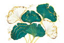 O[ S[h zCg t C`E̕ǎ A JX^ǎ PHOTOWALL / Golden Ginkgo Leaves on White Backdrop (e85380) \Ă͂t[Xǎ(sDz) yCO񂹏iz yE㕥sz