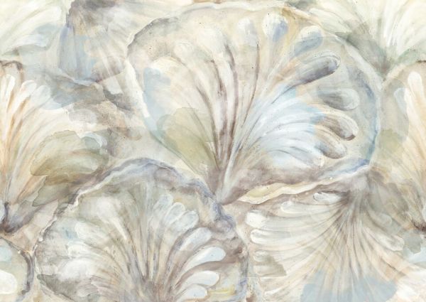 25日30名様20％OFFクーポン 貝殻 ホワイトの壁紙 輸入 カスタム壁紙 PHOTOWALL / Artistic Seashells III (e85576) 貼ってはがせるフリース壁紙(不織布)  
