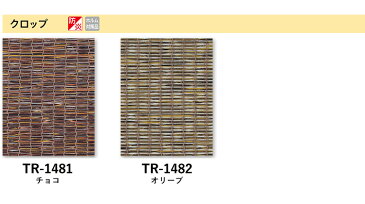 ロールスクリーン 和風 タピオ タチカワブラインド ロールカーテン 【送料無料】1cm単位でオーダー可能！{{ざっくりとしたスダレ調シースルータイプ ロールスクリーン タピオ タチカワ}}幅50〜80cm、高さ201〜250cm