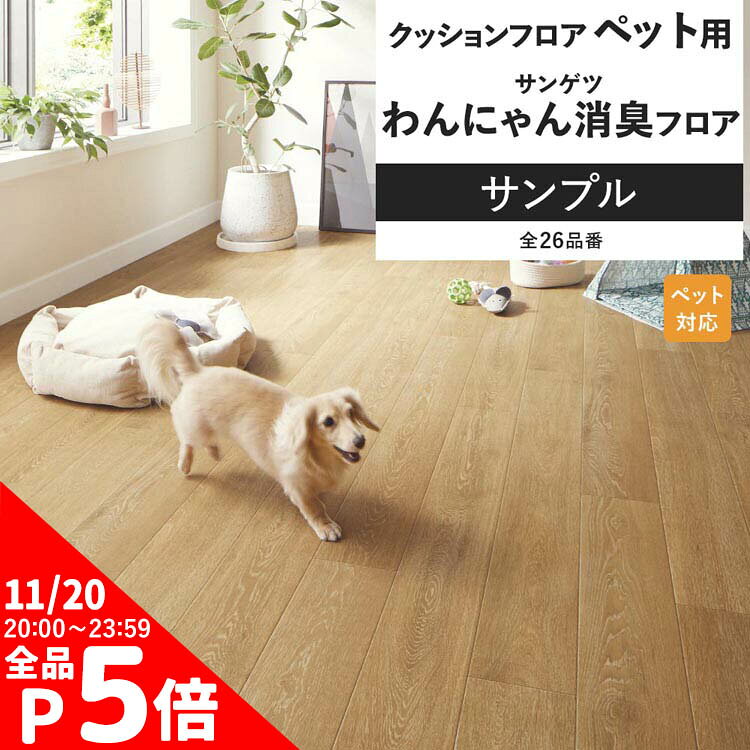 ɻ沰ޡ٥ߥۥݤ㤨֡11/20 204hP5ܡ åե ץ ӥ ȥ ˤ 󥲥 ڥå ʤ ˤýե ƥꥢ  å󥷡ȡפβǤʤ20ߤˤʤޤ