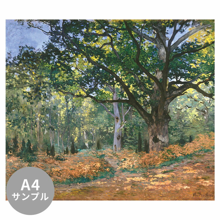 【サンプル専用】サイズオーダー ミューラル壁紙 フリース壁紙（のりなし） Hiking Trail NSO-G00190