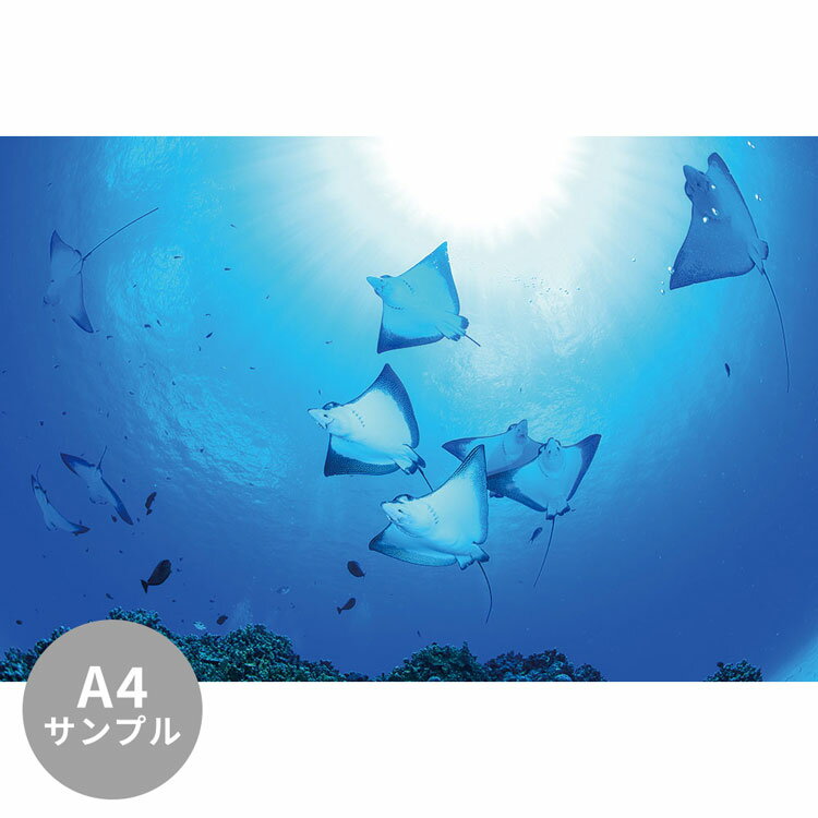 ɻ沰ޡ٥ߥۥݤ㤨֡оݥݥ ڥץѡۥ ߥ塼ɻ ե꡼ɻʤΤʤ˥ץ ηʿɻ  ޥȥӥʥѥ NSO-K00008פβǤʤ110ߤˤʤޤ