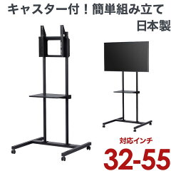 https://thumbnail.image.rakuten.co.jp/@0_mall/kabekake/cabinet/smn/1_2/lps-k55.jpg