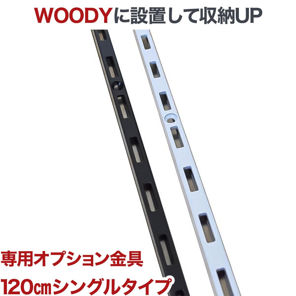 テレビ 壁掛け 金具 賃貸 壁掛金具 壁掛けテレビ 送料無料 WOODY専用 オプション金具 wdy-asf-1-120