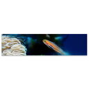アートパネル ワイドサイズ widesize 横長 絵 絵画 飾り 1200mmx300mm フォト 壁掛け 木枠 インテリア おしゃれ アート 魚 海 023281(3)