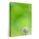 アートパネル 絵 絵画 飾り 選べるサイズ 594×841mm A1 モダン 玄関 写真 フォト インテリア おしゃれ 000218 ゴルフ ショット 芝生