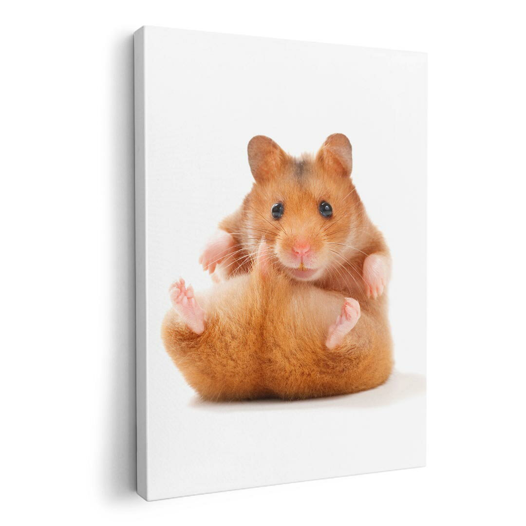 ファブリックパネル　ポスター アートフレーム　キャンバスアート 玄関 リビング　アートボード同じデザインの各サイズへはこちらから ▼　▼　▼　▼　▼&nbsp;