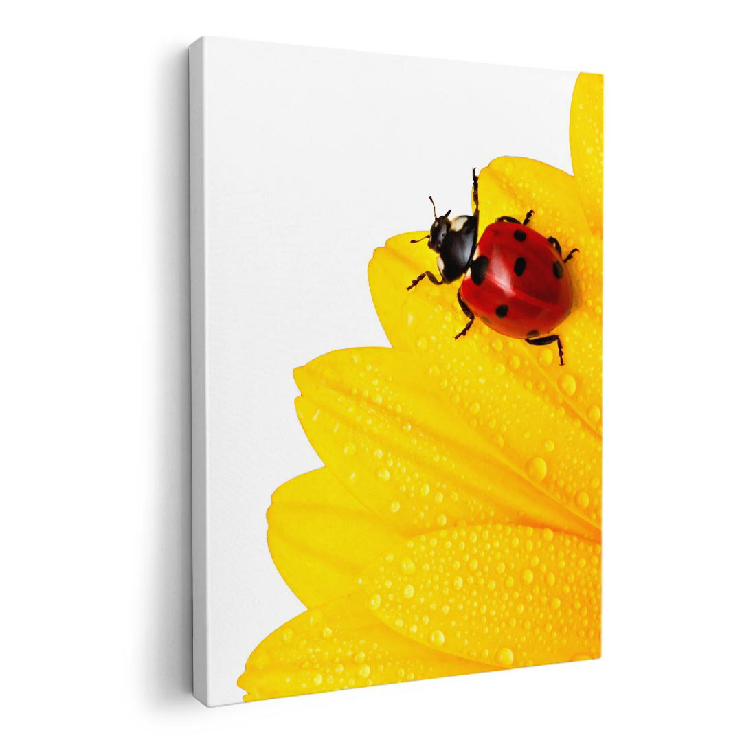 ファブリックパネル　ポスター アートフレーム　キャンバスアート 玄関 リビング　アートボード同じデザインの各サイズへはこちらから ▼　▼　▼　▼　▼&nbsp;