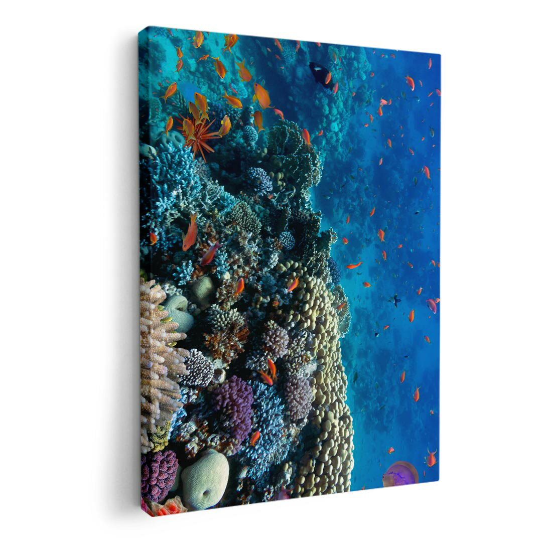 アートパネル 絵 絵画 飾り 選べるサイズ 594×841mm A1 モダン 玄関 写真 フォト インテリア おしゃれ 011697 海　珊瑚　写真