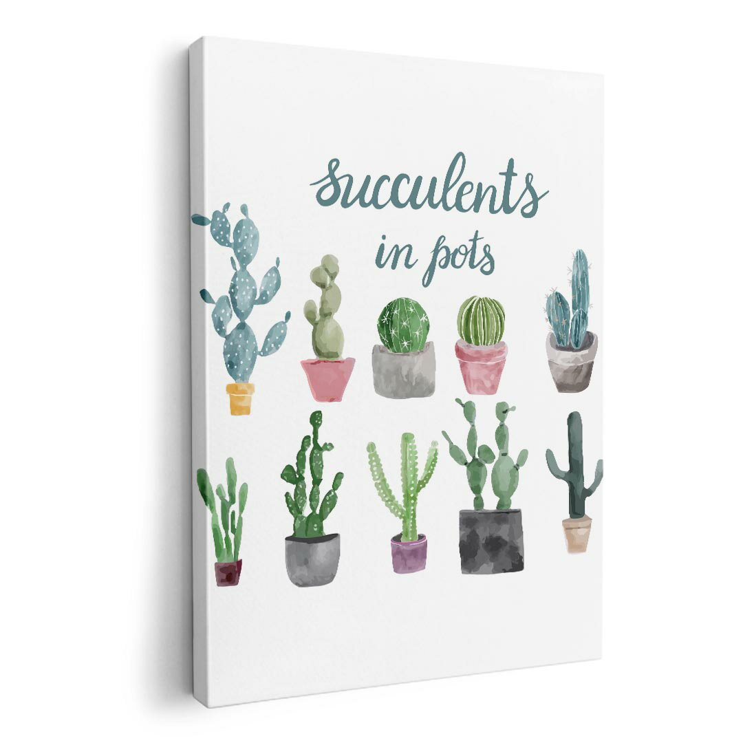 アートパネル 絵 絵画 飾り 選べるサイズ 594×841mm A1 モダン 玄関 写真 フォト インテリア おしゃれ 015908 サボテン　多肉植物