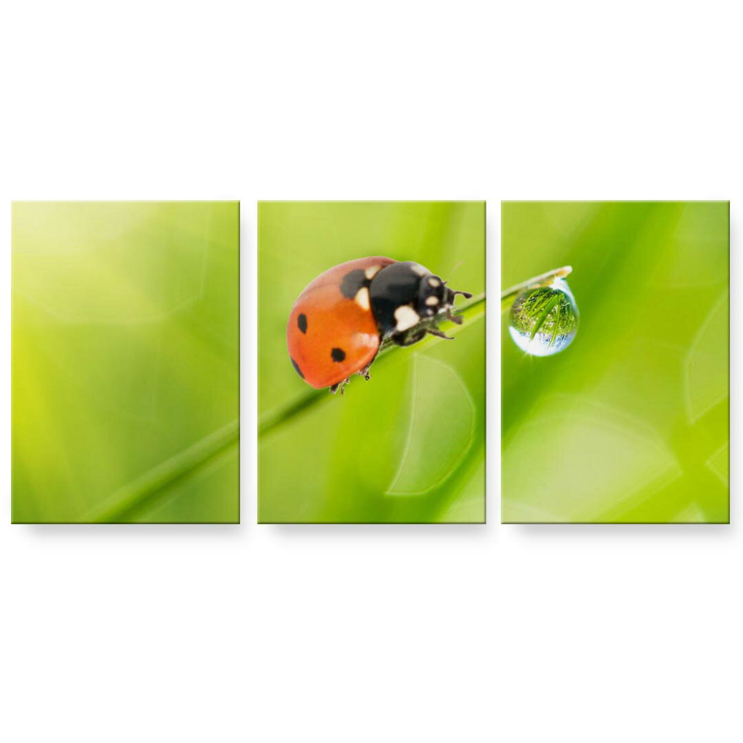 アートパネル 3連 3枚セット 絵 絵画