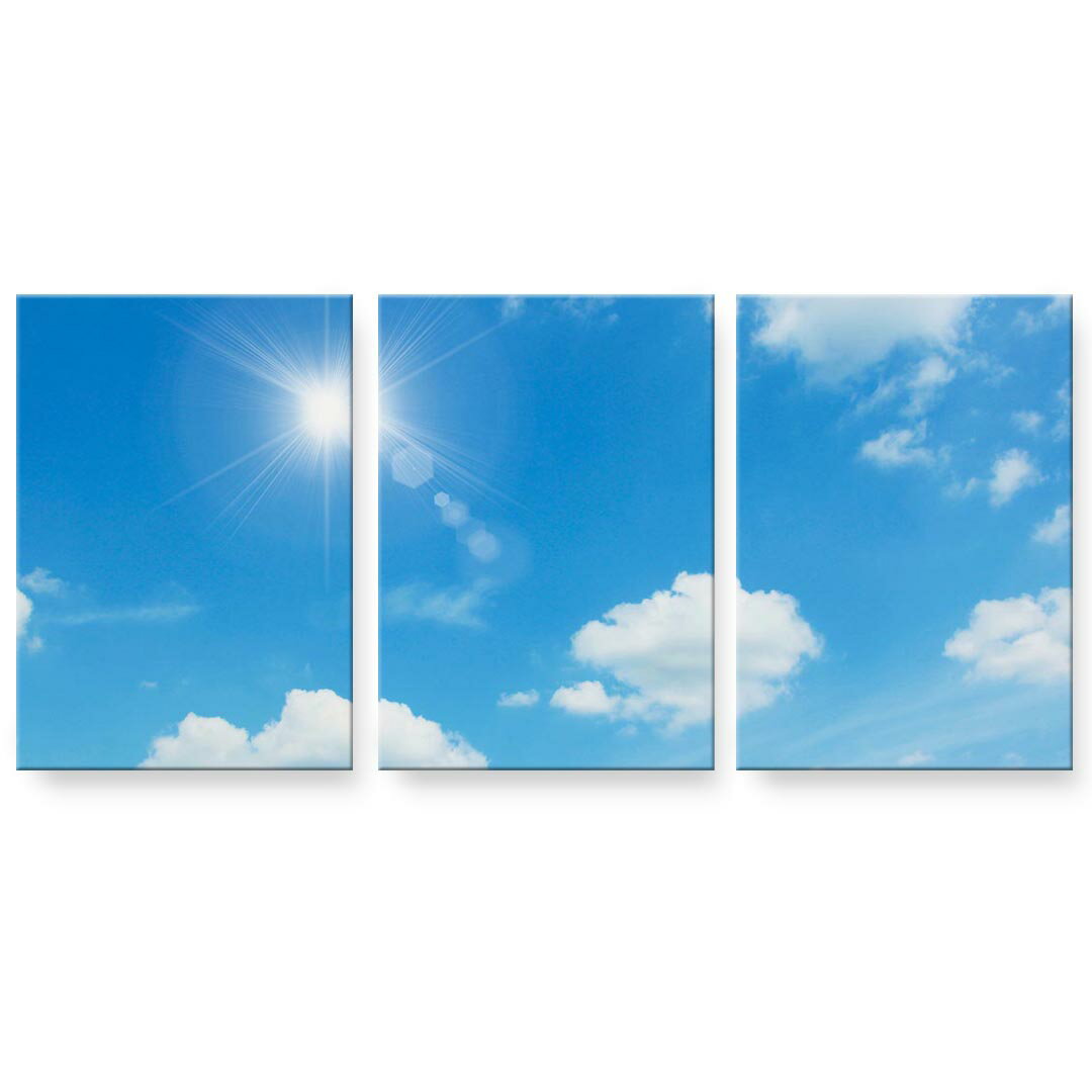 楽天市場】ブルースリーパネルの通販