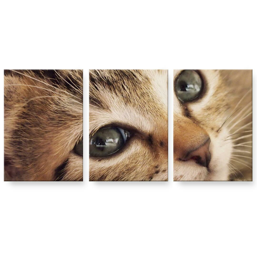 アートパネル 3連 3枚セット 絵 絵画