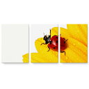 アートパネル 3連 3枚セット 絵 絵画 飾り igsticker 594mmx420mm A2 フォト 壁掛け 木枠 インテリア おしゃれ 001580 花 テントウムシ 花びら