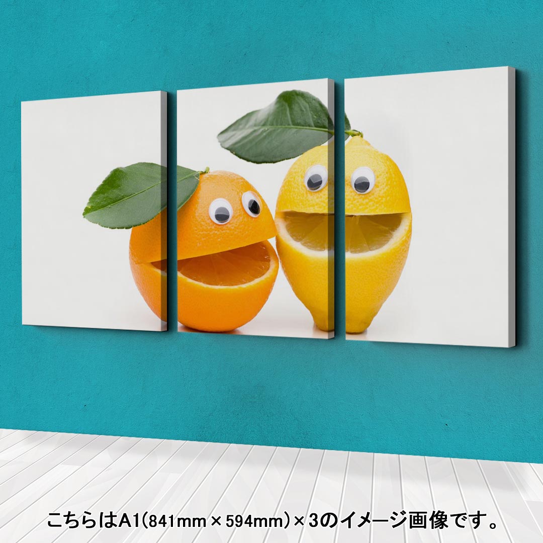 アートパネル 絵 絵画 飾り 選べるサイズ 594×841mm A1 3枚セット セット物 モダン...