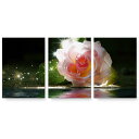 アートパネル 3連 3枚セット 絵 絵画 飾り igsticker 594mmx420mm A2 フォト 壁掛け 木枠 インテリア おしゃれ 002746 花 写真 黒