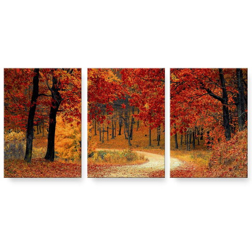 アートパネル 絵 絵画 飾り 選べるサイズ 594×841mm A1 3枚セット セット物 モダン 玄関 写真 フォト インテリア おしゃれ 023727 紅葉 秋 アートパネル 絵 絵画 飾り 選べるサイズ 594×841mm A1 3枚セット セット物 モダン 玄関 写真 フォト インテリア おしゃれ 023727 紅葉 秋