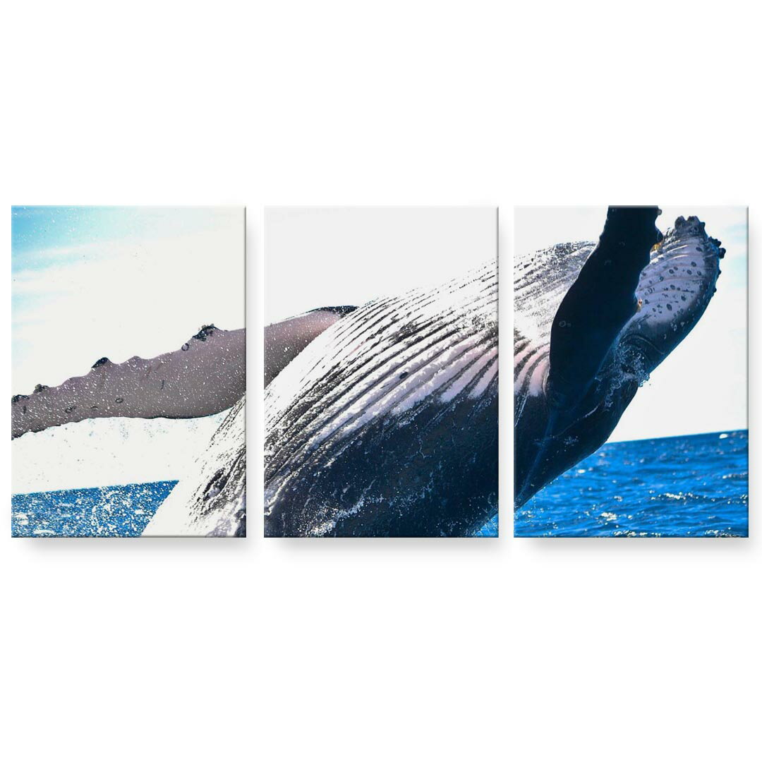 アートパネル 3連 3枚セット 絵 絵画