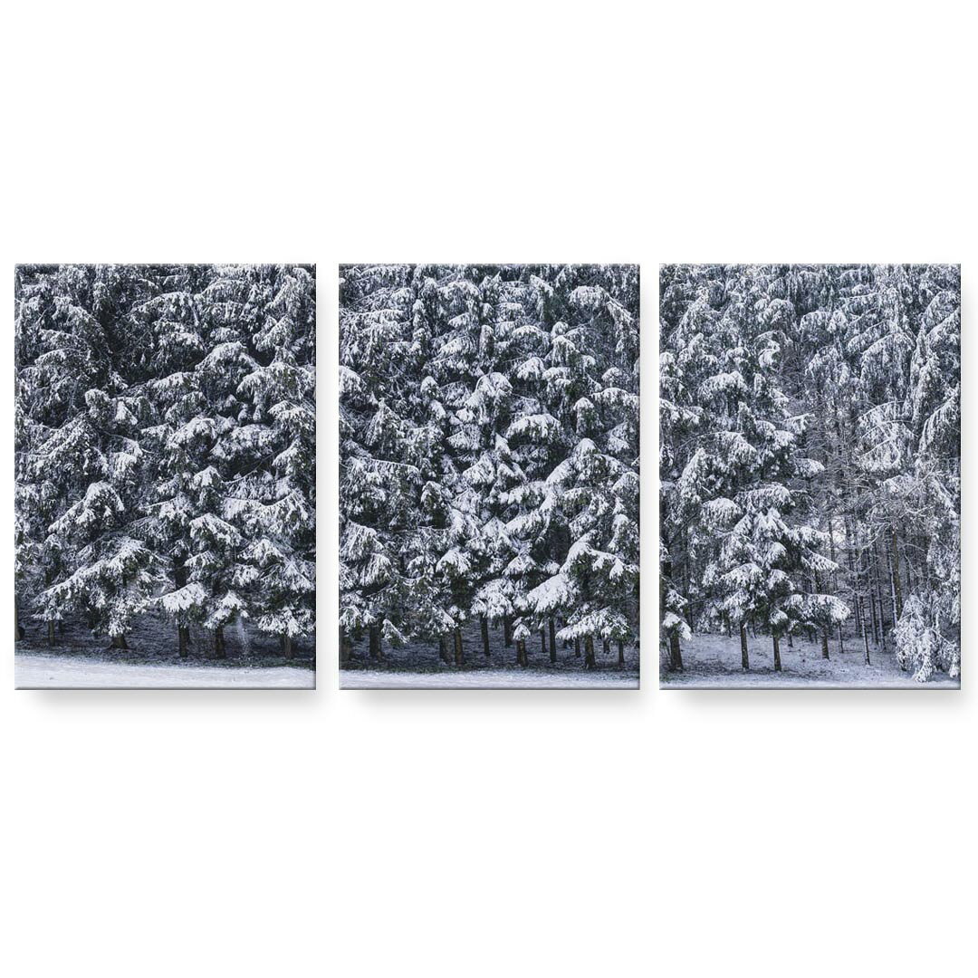 アートパネル 3連 3枚セット 絵 絵画