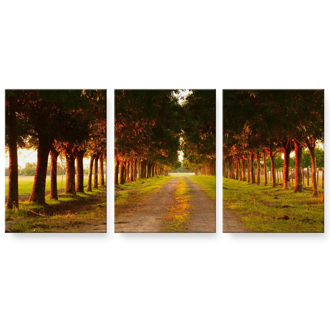 アートパネル 3連 3枚セット 絵 絵画