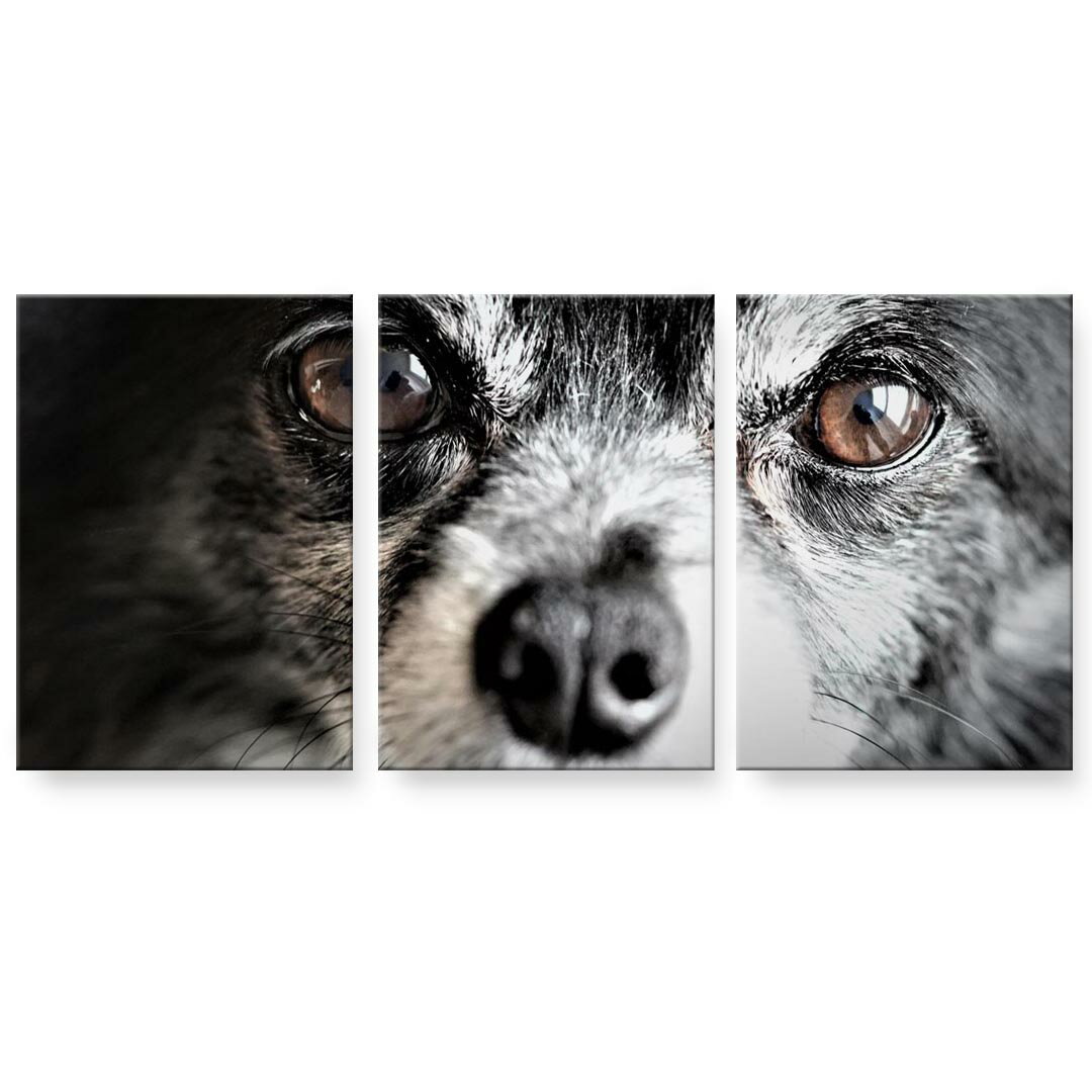 アートパネル 3連 3枚セット 絵 絵画 飾り igsticker 594mmx420mm A2 フォト 壁掛け 木枠 インテリア おしゃれ 018313 犬 写真
