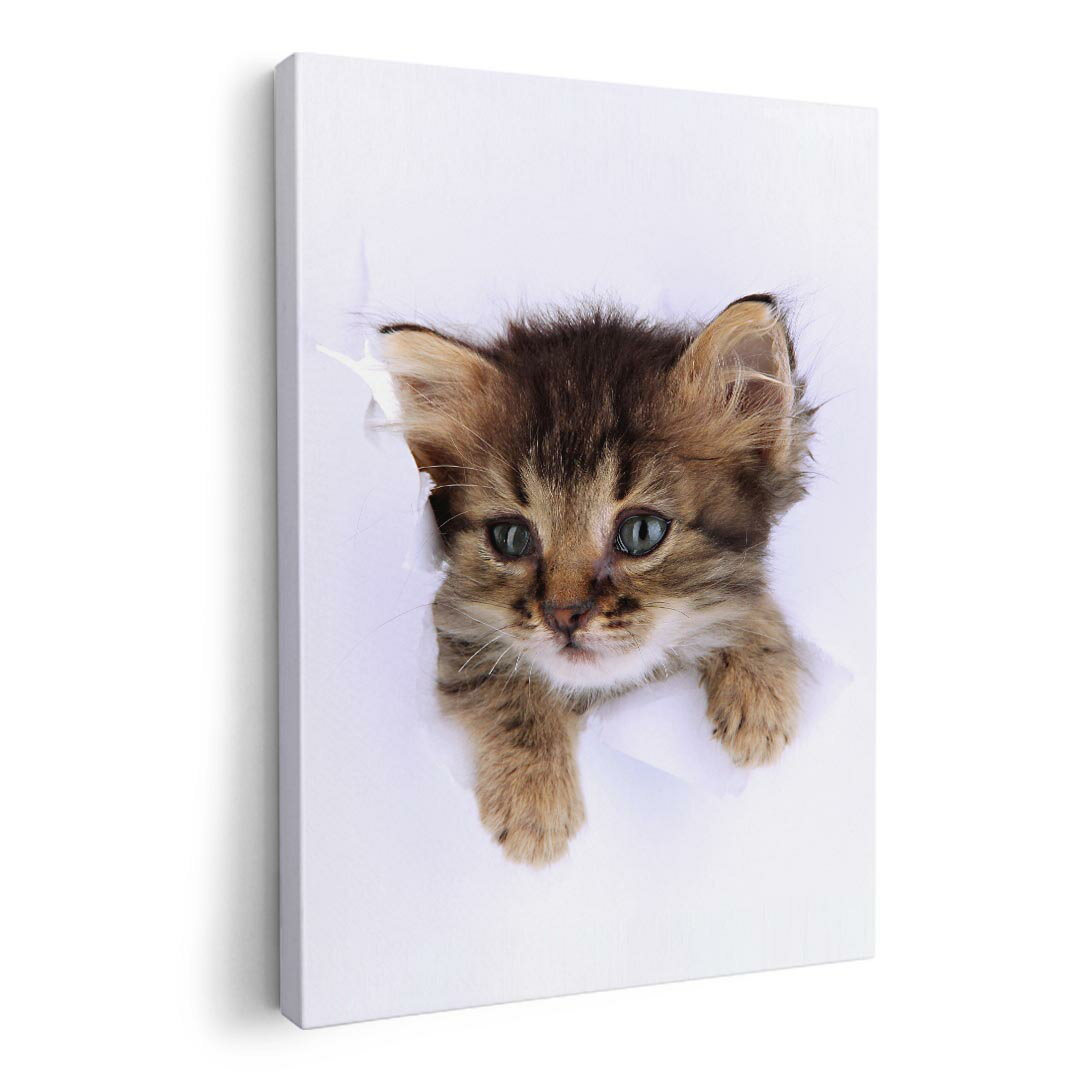 ファブリックパネル　ポスター アートフレーム　キャンバスアート 玄関 リビング　アートボード同じデザインの各サイズへはこちらから ▼　▼　▼　▼　▼&nbsp;