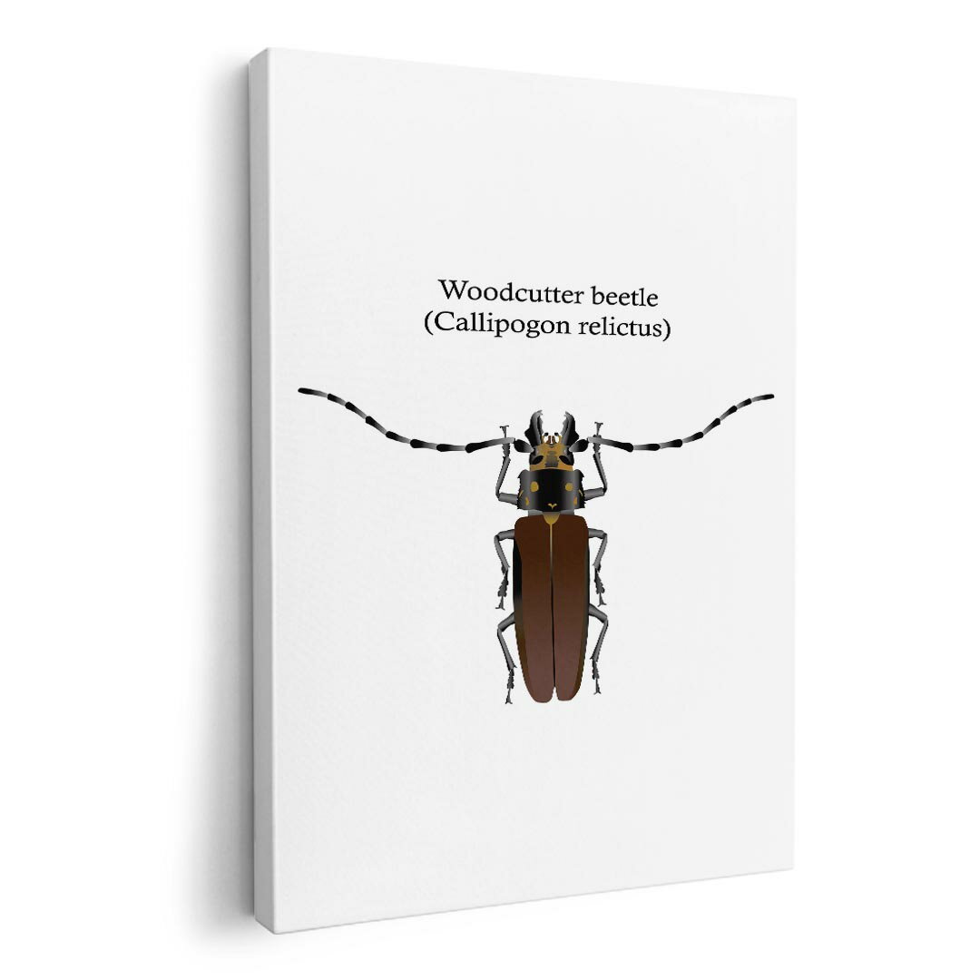 アートパネル 絵 絵画 飾り 選べるサイズ 420×594 mm A2 モダン 玄関 写真 フォト インテリア おしゃれ 020010 虫 ウッドカッターカブトムシ
