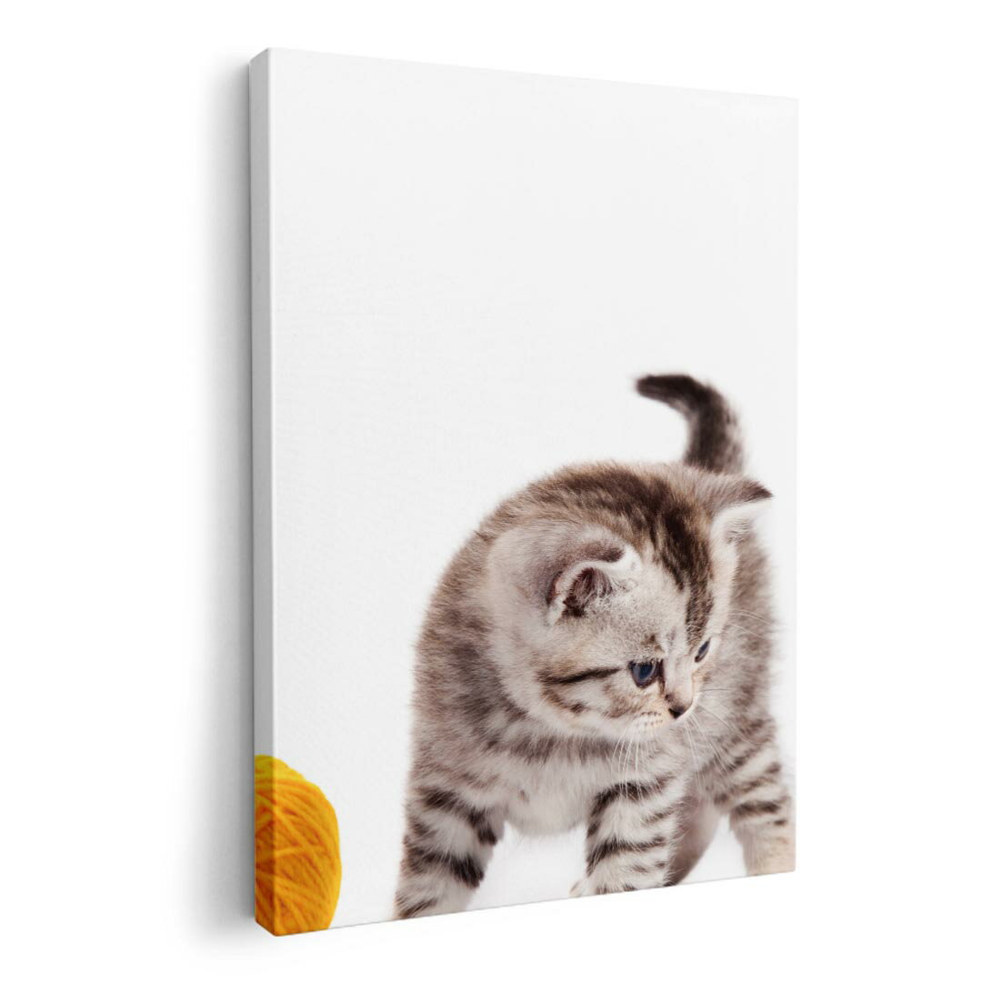 �����ȥѥͥ� �� ���� ���� ���٤륵���� 420��594 mm A2 ����� ���� �̿� �ե��� ����ƥꥢ ������� 006228 �̿�...