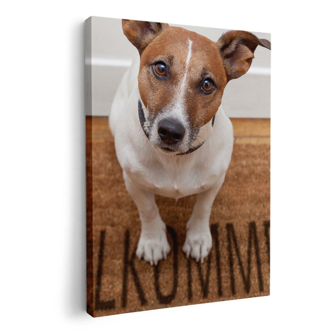 アートパネル 絵 絵画 飾り 選べるサイズ 420×594 mm A2 モダン 玄関 写真 フォト インテリア おしゃれ 007766 写真　犬　白　ホワイト