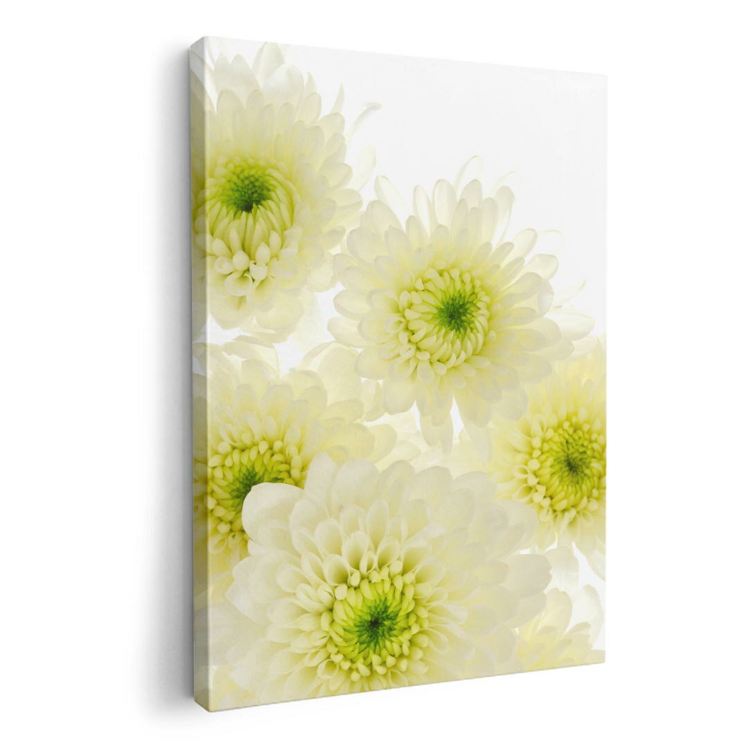 アートパネル 絵 絵画 飾り 選べるサイズ 420×594 mm A2 モダン 玄関 写真 フォト インテリア おしゃれ 014825 花　白　flower