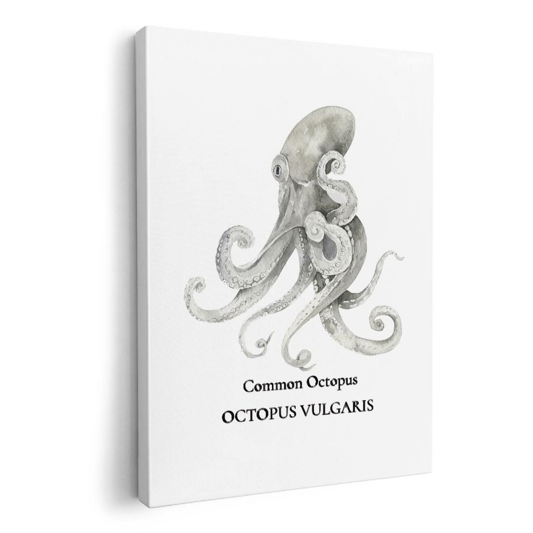 アートパネル 絵 絵画 飾り 選べるサイズ 420×594 mm A2 モダン 玄関 写真 フォト インテリア おしゃれ 019730 海の生物 タコ octopus