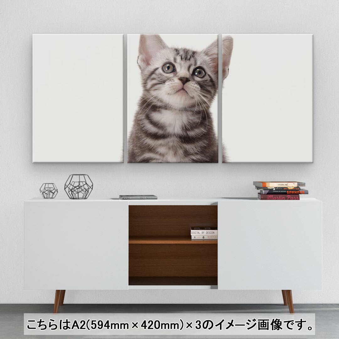 アートパネル 3連 3枚セット 絵 絵画 飾り igsticker 594mmx420mm A2 フォト 壁掛け 木枠 インテリア おしゃれ 001070 猫　アメリカンショートヘア 3