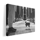 アートパネル 絵 絵画 飾り 選べるサイズ 420×297 mm A3 モダン 玄関 写真 フォト インテリア おしゃれ 023087 猫 ねこ 写真 モノクロ(3)