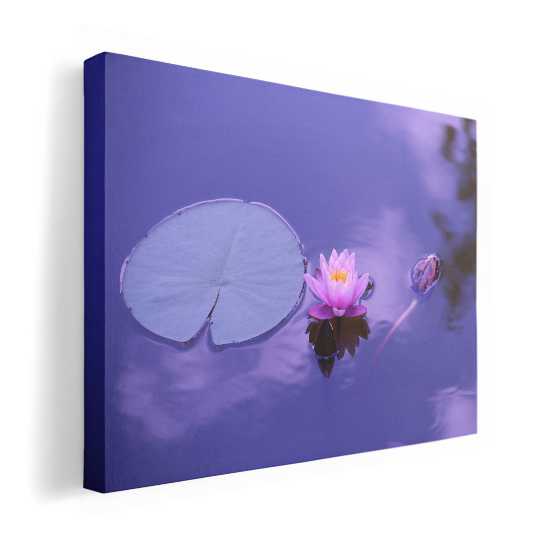 楽天市場】蓮の花 絵(インテリア・寝具・収納)の通販 楽天市場】蓮の花 絵(インテリア・寝具・収納)の通販