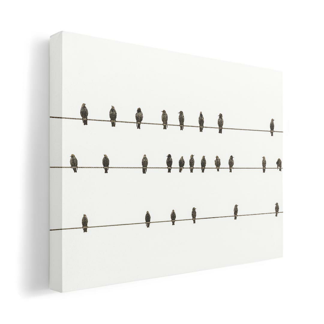 アートパネル 絵 絵画 飾り 選べるサイズ 420×297 mm A3 モダン 玄関 写真 フォト インテリア おしゃれ 023567 鳥　動物　アニマル