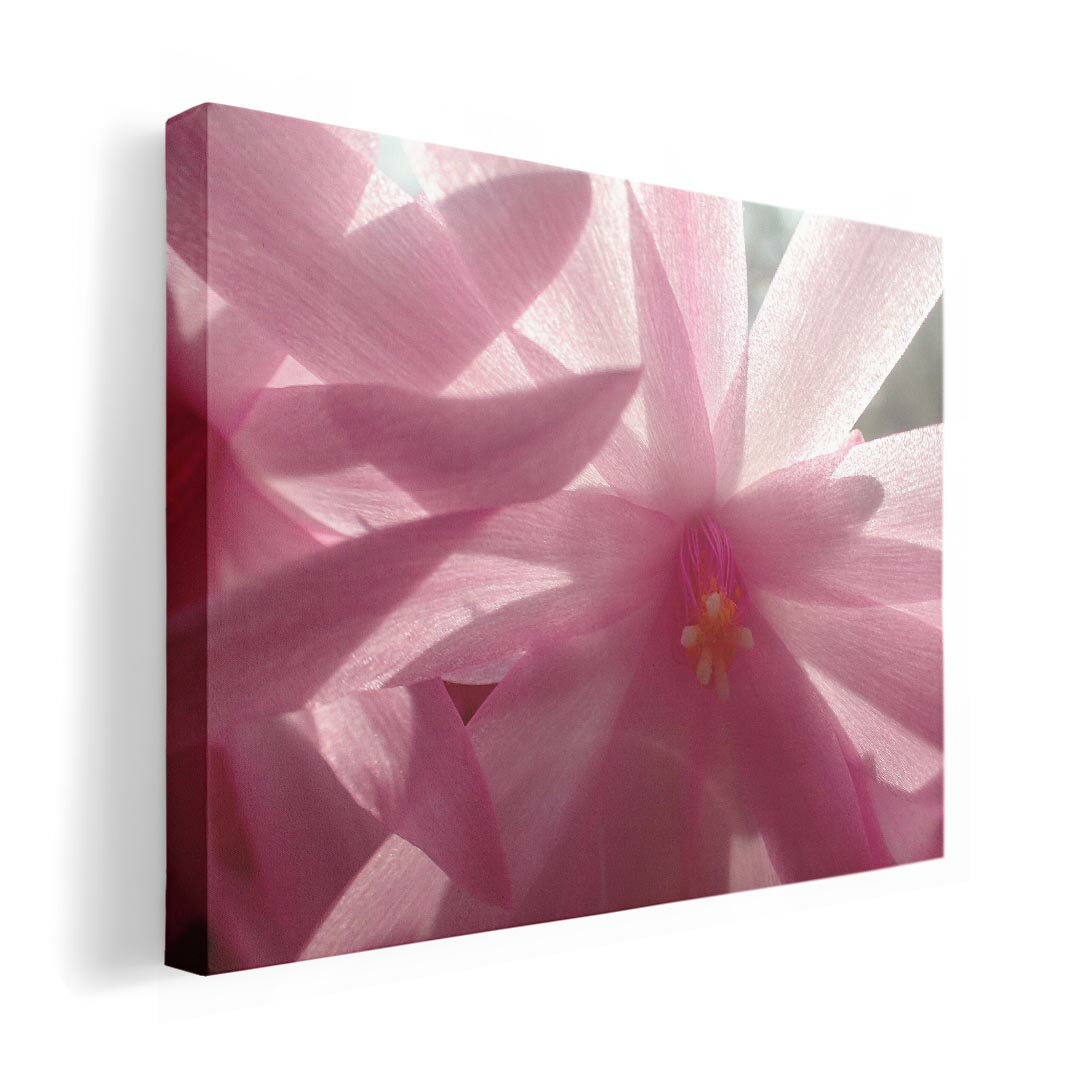 アートパネル 絵 絵画 飾り 選べるサイズ 420×297 mm A3 モダン 玄関 写真 フォト インテリア おしゃれ 023682 花びら　フラワー