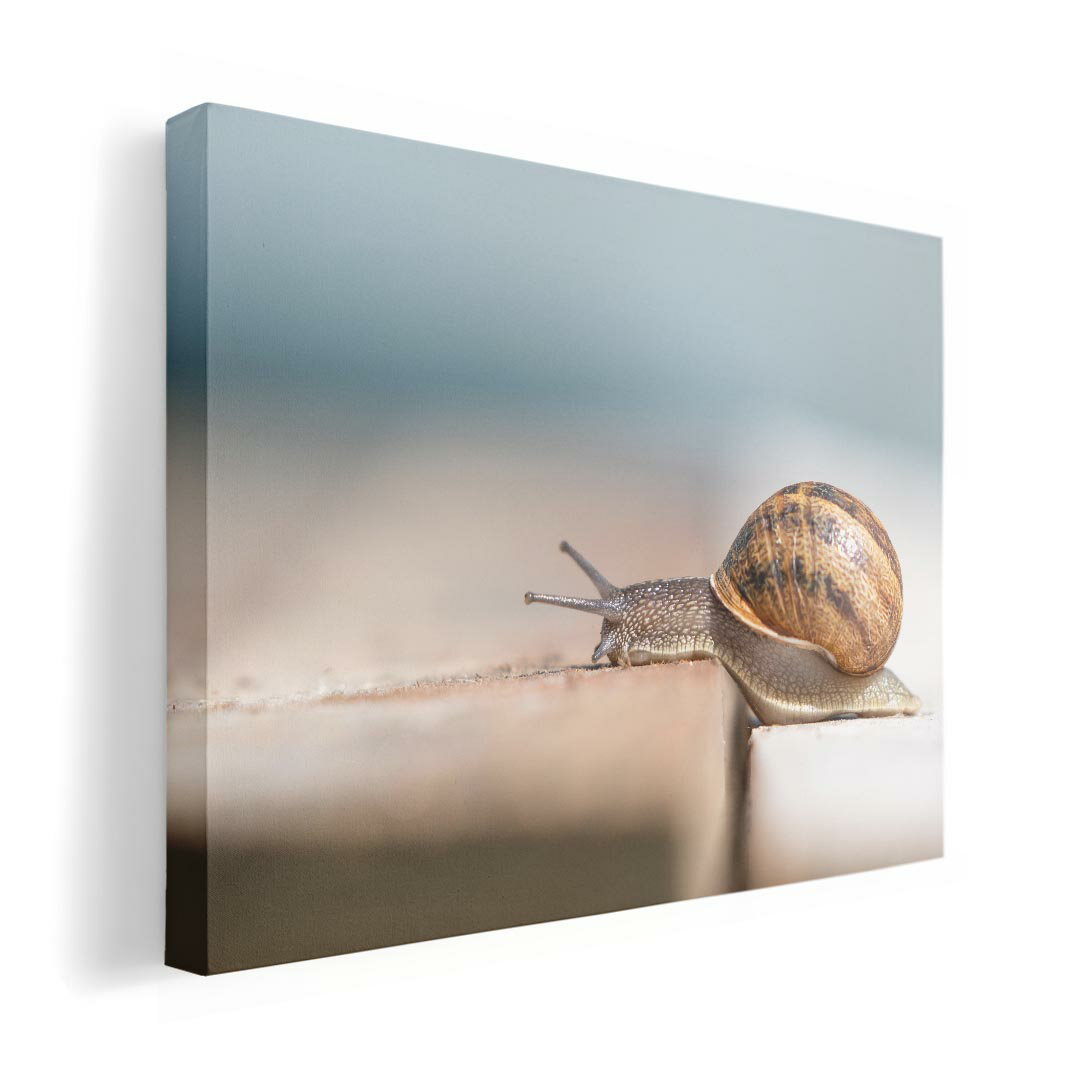 アートパネル 絵 絵画 飾り 選べるサイズ 420×297 mm A3 モダン 玄関 写真 フォト インテリア おしゃれ 023810 かたつむり　写真