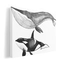 アートパネル 絵 絵画 飾り 選べるサイズ 420×297 mm A3 モダン 玄関 写真 フォト インテリア おしゃれ 016066 シャチ 魚 クジラ(3)