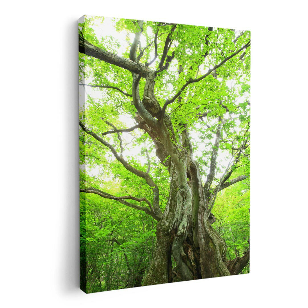 ファブリックパネル　ポスター アートフレーム　キャンバスアート 玄関 リビング　アートボード同じデザインの各サイズへはこちらから ▼　▼　▼　▼　▼&nbsp;