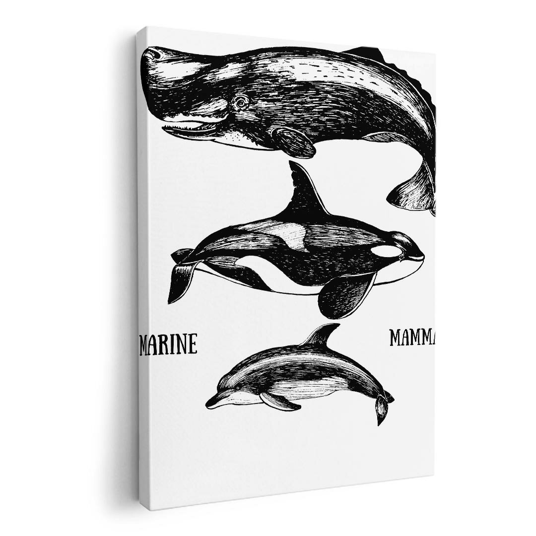 アートパネル 絵 絵画 飾り 選べるサイズ 210×148 mm A5 モダン 玄関 写真 フォト インテリア おしゃれ 015819 魚　くじら　シャチ
